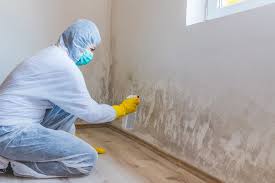 Trusted Yoakum, TX Mold Remediation Experts